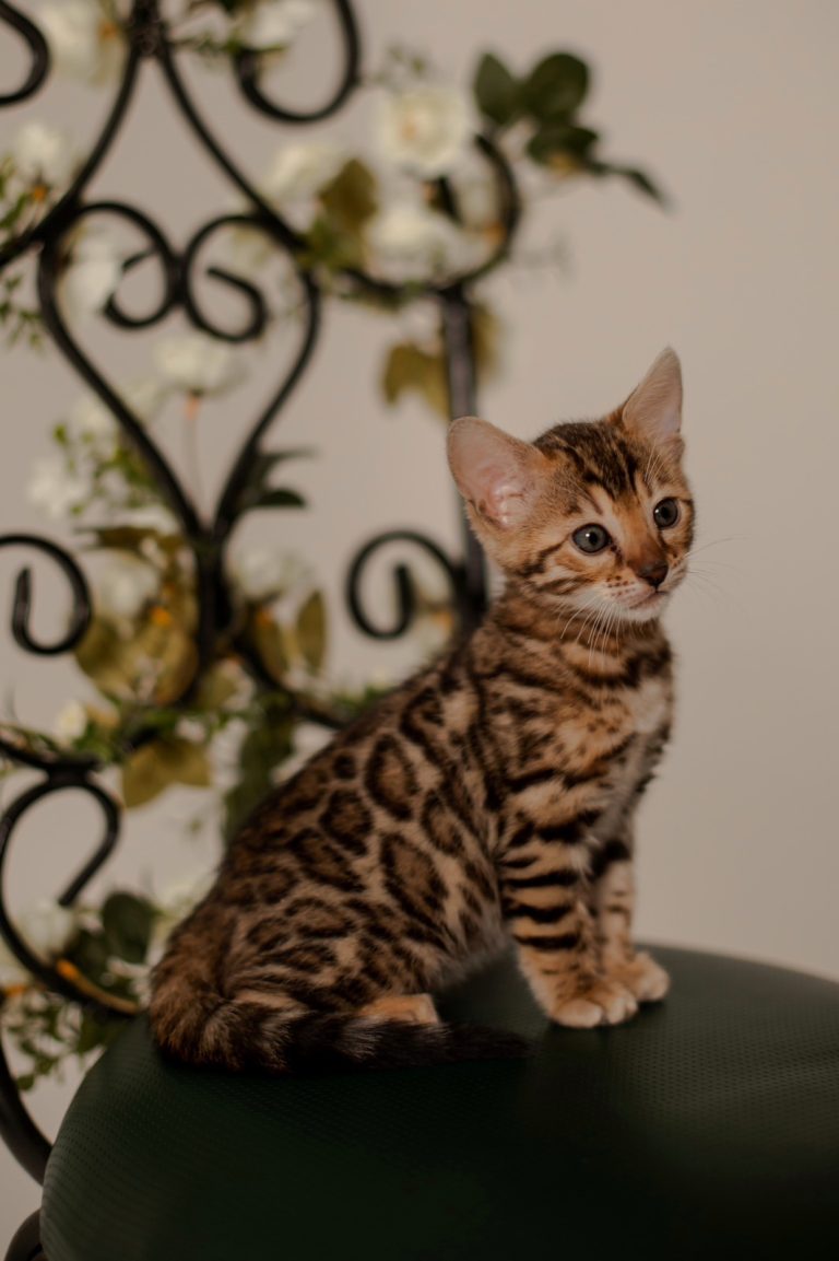 изображение_viber_2024-01-13_21-16-50-629 (1)