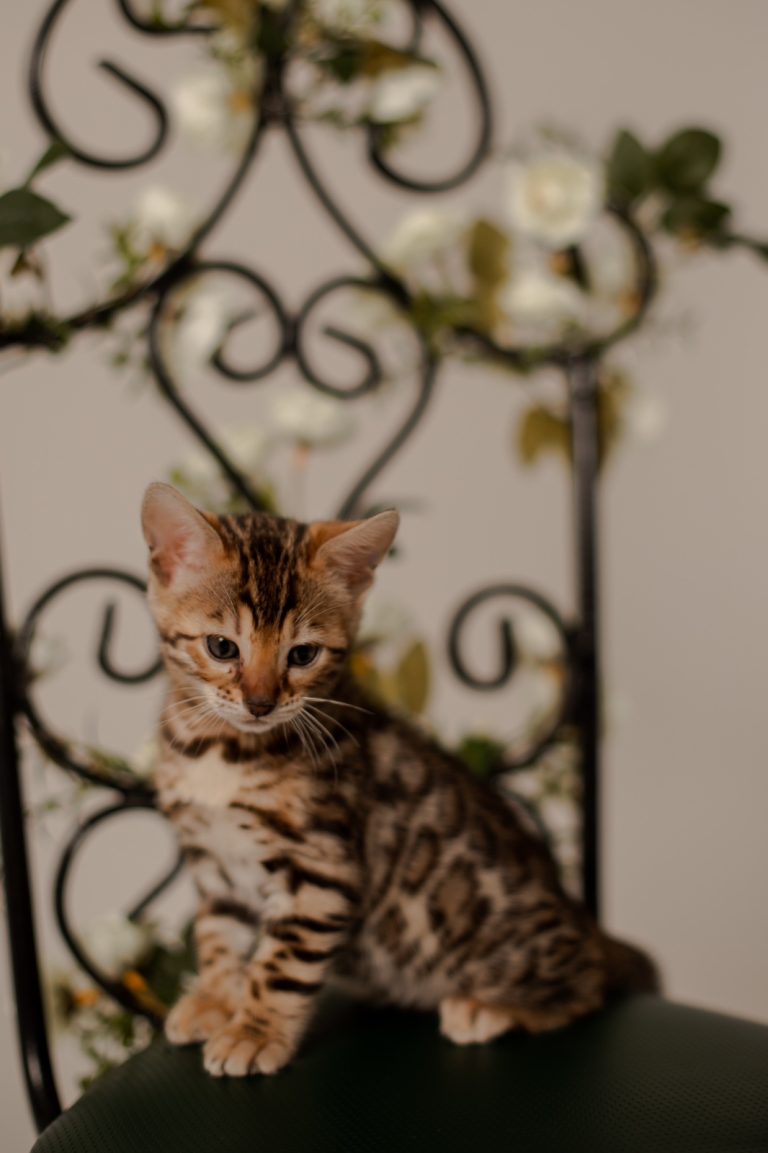 изображение_viber_2024-01-13_21-16-50-992 (1)