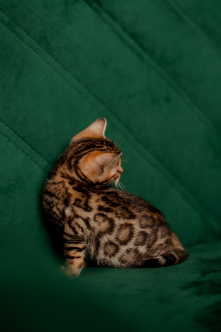 изображение_viber_2024-01-13_21-16-51-172