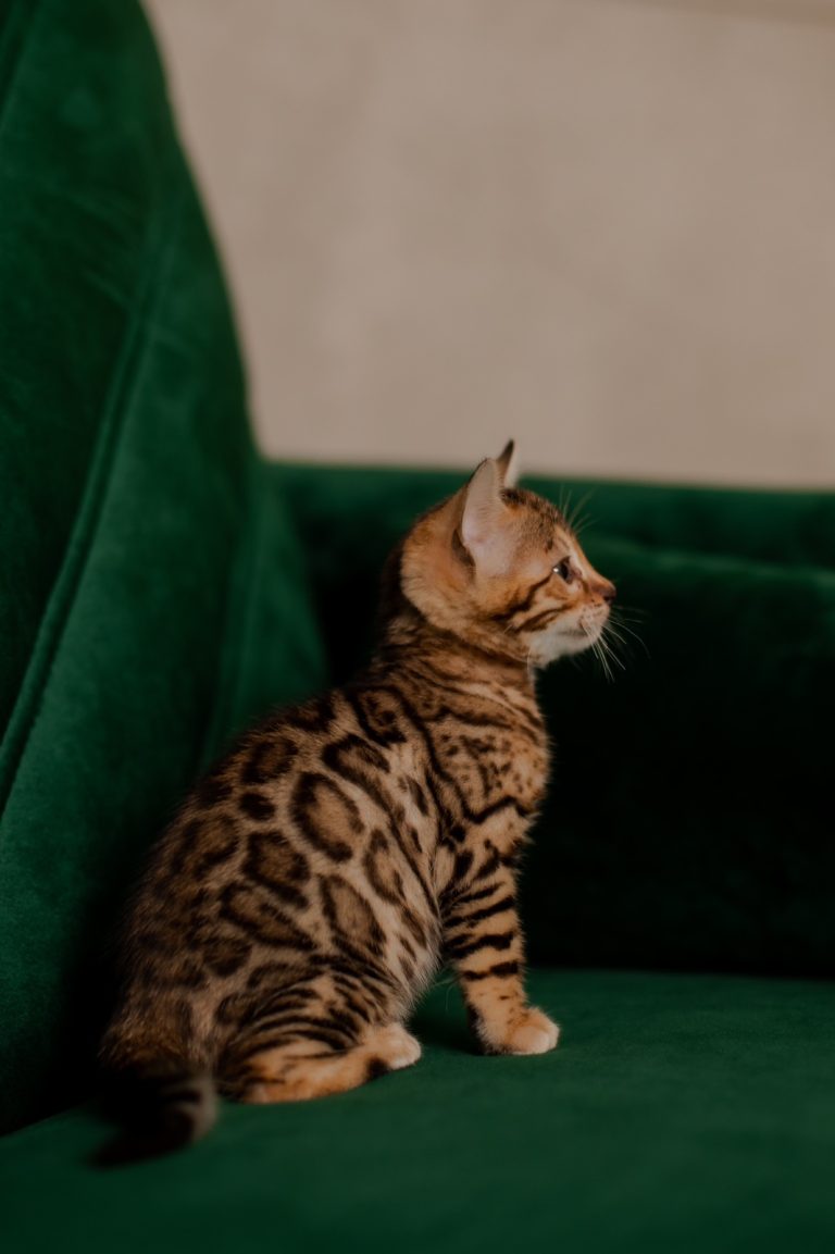 изображение_viber_2024-01-13_21-16-51-541