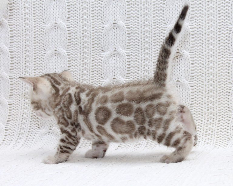 изображение_viber_2024-10-24_19-56-21-269