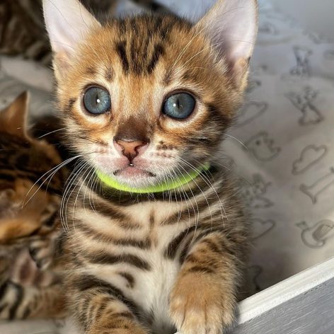 6B3F08A2-C7F2-4162-9313-9FED2544ACAE