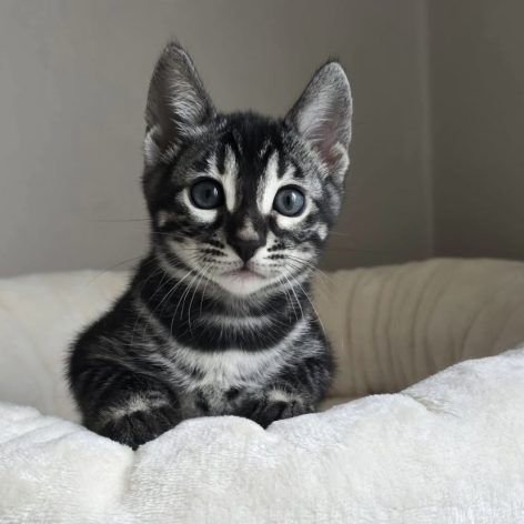 78AF049C-15BC-432F-894C-E2B5EDAE89C5