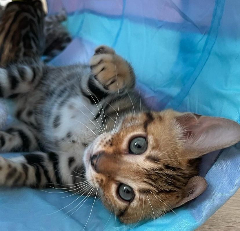 A4262F59-A9FC-4D59-8585-848A641785E6